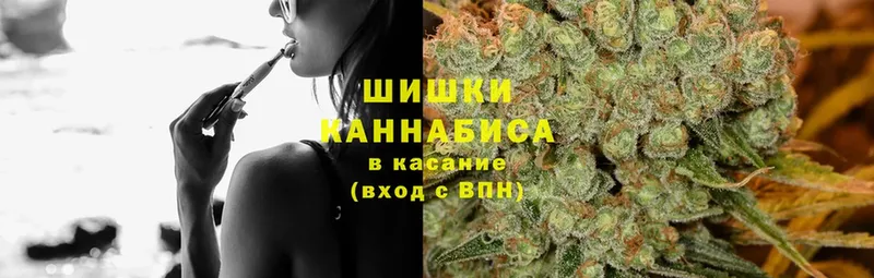 Шишки марихуана Bruce Banner  где найти наркотики  Почеп 